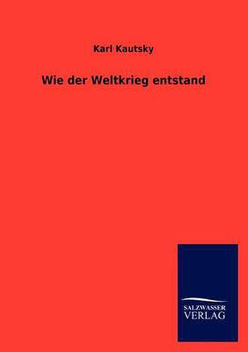 Cover image for Wie Der Weltkrieg Entstand