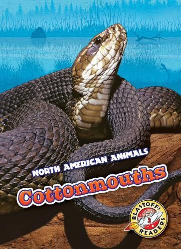 Cover image for Cottonmouths