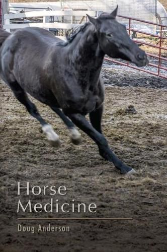 Cover image for Horse Medicine