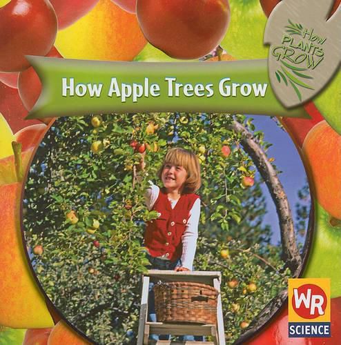 How Apple Trees Grow