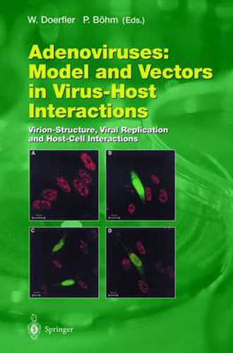 Cover image for Adenoviruses: Model and Vectors in Virus-Host Interactions: Virion-Structure, Viral Replication and Host-Cell Interactions