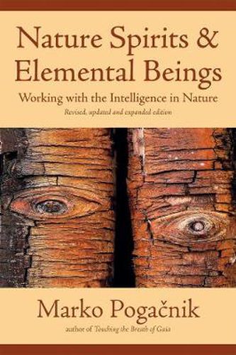 Cover image for Nature Spirits & Elemental Beings: Working with the Intelligence in Nature