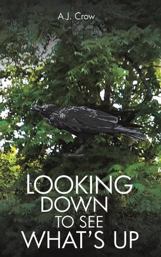 Cover image for Looking Down to See What's Up