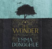 Cover image for The Wonder