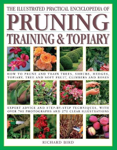 The Pruning, Training & Topiary, Illustrated Practical Encyclopedia of