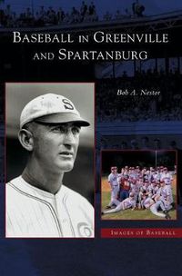 Cover image for Baseball in Greenville and Spartanburg