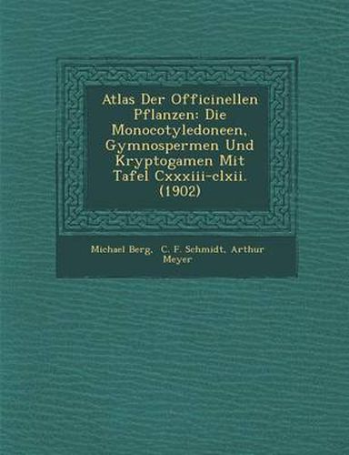 Cover image for Atlas Der Officinellen Pflanzen: Die Monocotyledoneen, Gymnospermen Und Kryptogamen Mit Tafel CXXXIII-CLXII. (1902)