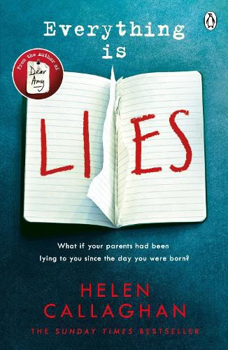 Everything Is Lies: From the Sunday Times bestselling author of Dear Amy
