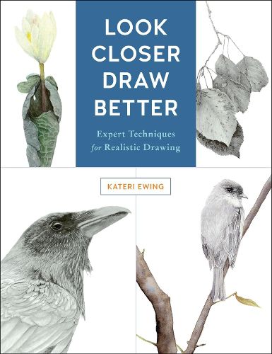 Cover image for Look Closer, Draw Better: Expert Techniques for Realistic Drawing