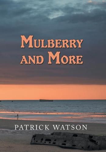 Cover image for Mulberry and More