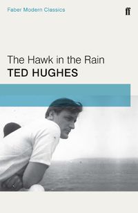 Cover image for The Hawk in the Rain