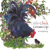 Cover image for Little Chick Grows Up