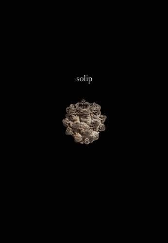 Cover image for Solip