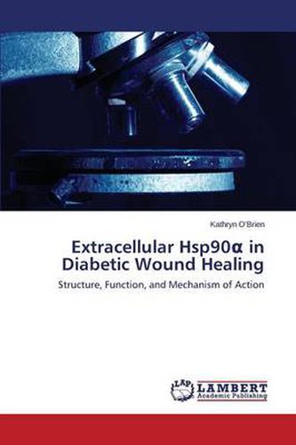 Extracellular Hsp90&#945; in Diabetic Wound Healing