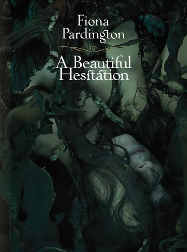 Cover image for Beautiful Hesitation