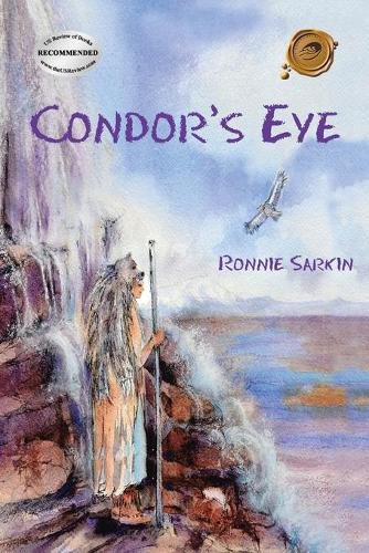 Cover image for Condor's Eye