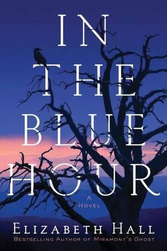 Cover image for In the Blue Hour: A Novel