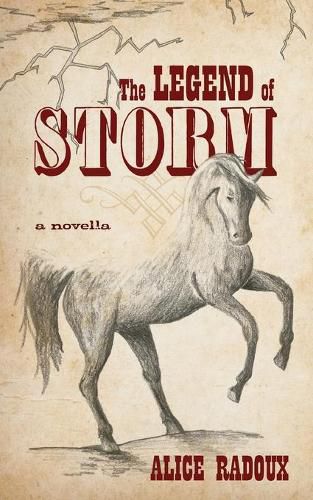 Cover image for The Legend of Storm