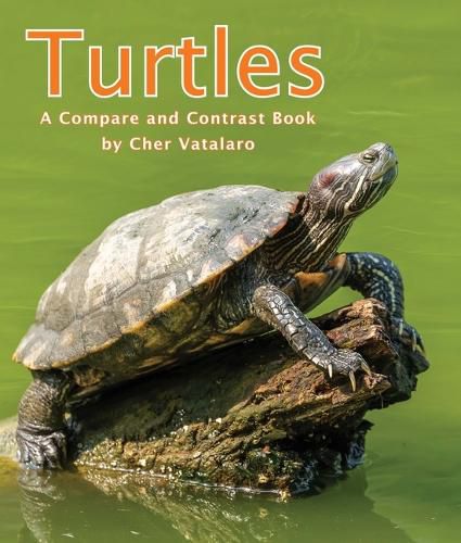 Cover image for Turtles: A Compare and Contrast Book