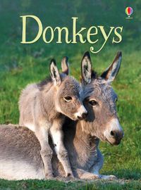 Cover image for Donkeys