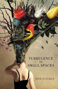 Cover image for Turbulence in Small Spaces