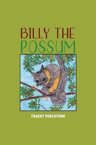 Cover image for Billy the Possum