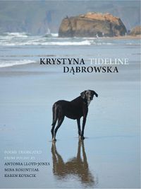 Cover image for Tideline