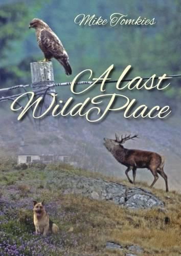 Cover image for A Last Wild Place