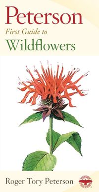 Cover image for First Guide to Wildflowers