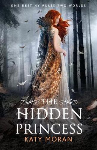 The Hidden Princess