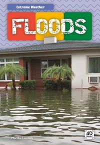 Cover image for Floods