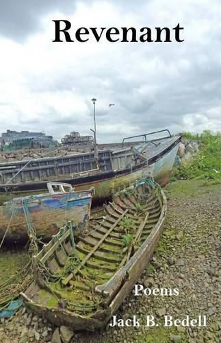 Cover image for Revenant