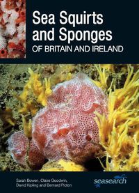 Cover image for Sea Squirts and Sponges of Britain and Ireland