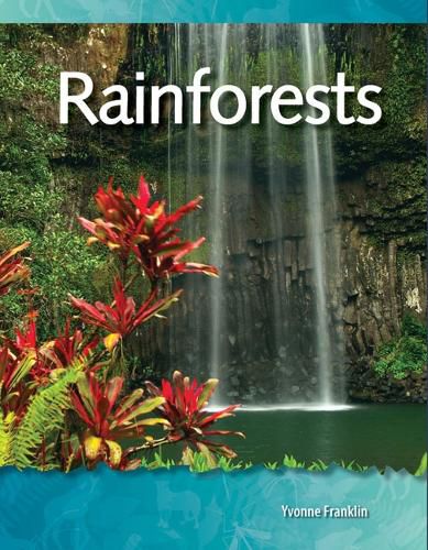 Cover image for Rainforests