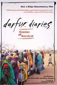 Cover image for Darfur Diaries: Stories of Survival