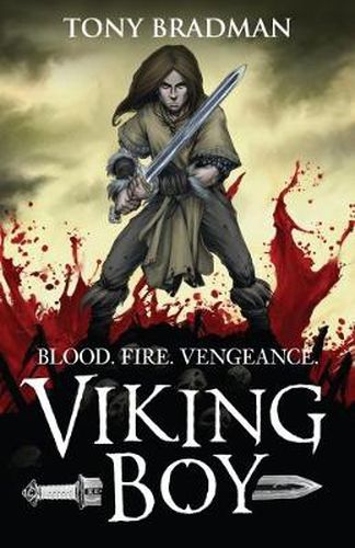 Cover image for Viking Boy