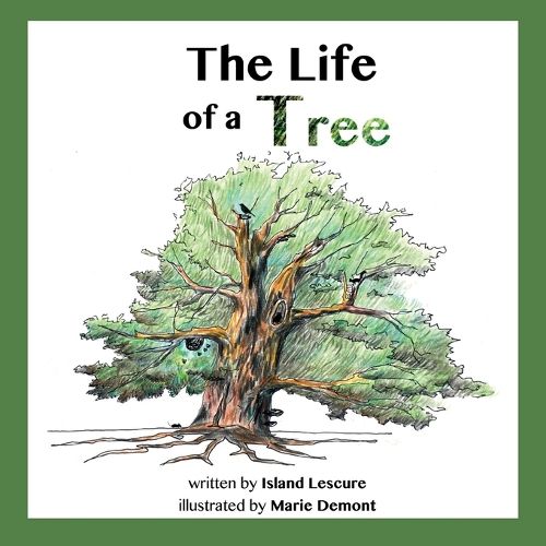 The Life of a Tree