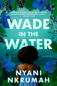 Cover image for Wade in the Water