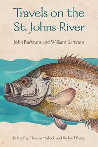 Cover image for Travels on the St. Johns River