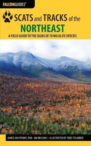 Scats and Tracks of the Northeast: A Field Guide to the Signs of 70 Wildlife Species