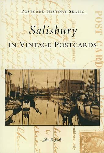 Cover image for Salisbury in Vintage Postcards