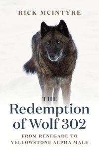 Cover image for The Redemption of Wolf 302: From Renegade to Yellowstone Alpha Male