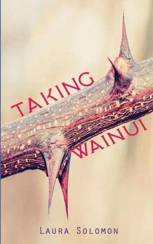 Cover image for Taking Wainui