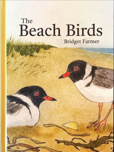 Cover image for The Beach Birds