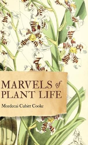 Cover image for Marvels of Plant Life