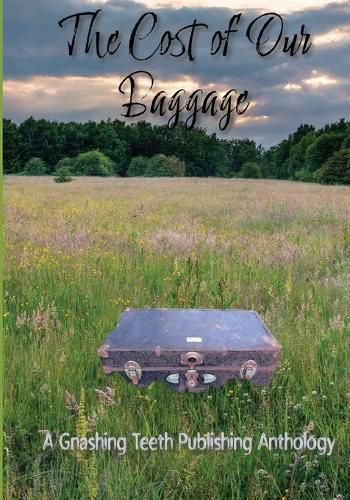 Cover image for The Cost of Our Baggage