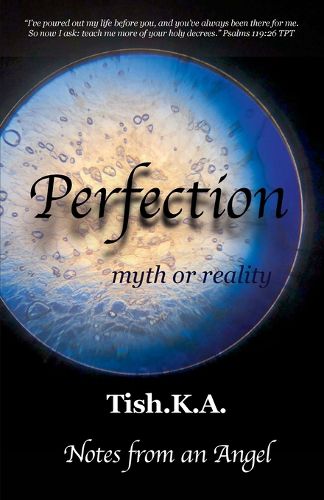 Cover image for Perfection