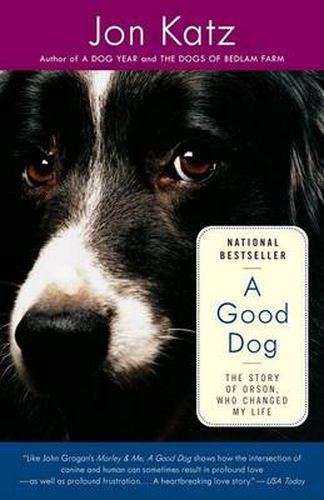 A Good Dog: The Story of Orson, Who Changed My Life