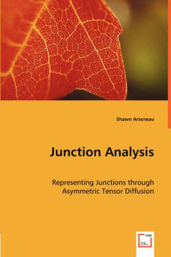 Cover image for Junction Analysis