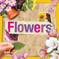 Cover image for Flowers